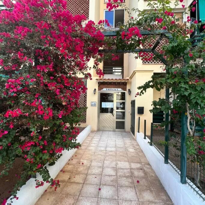 Apartman Los Cristianos-Cristimar Лос Кристианос Экстерьер фото